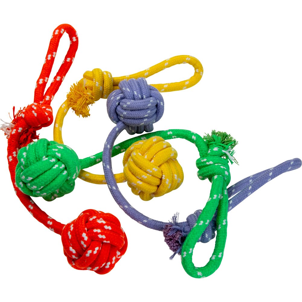 Hundelegetøj  Rover traxx®