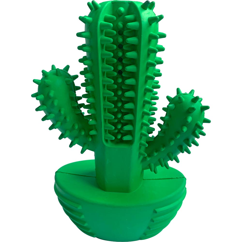 Hundelegetøj  Cactus Kayoba