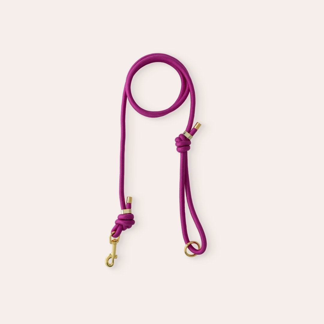 Line Hunde April traxx®