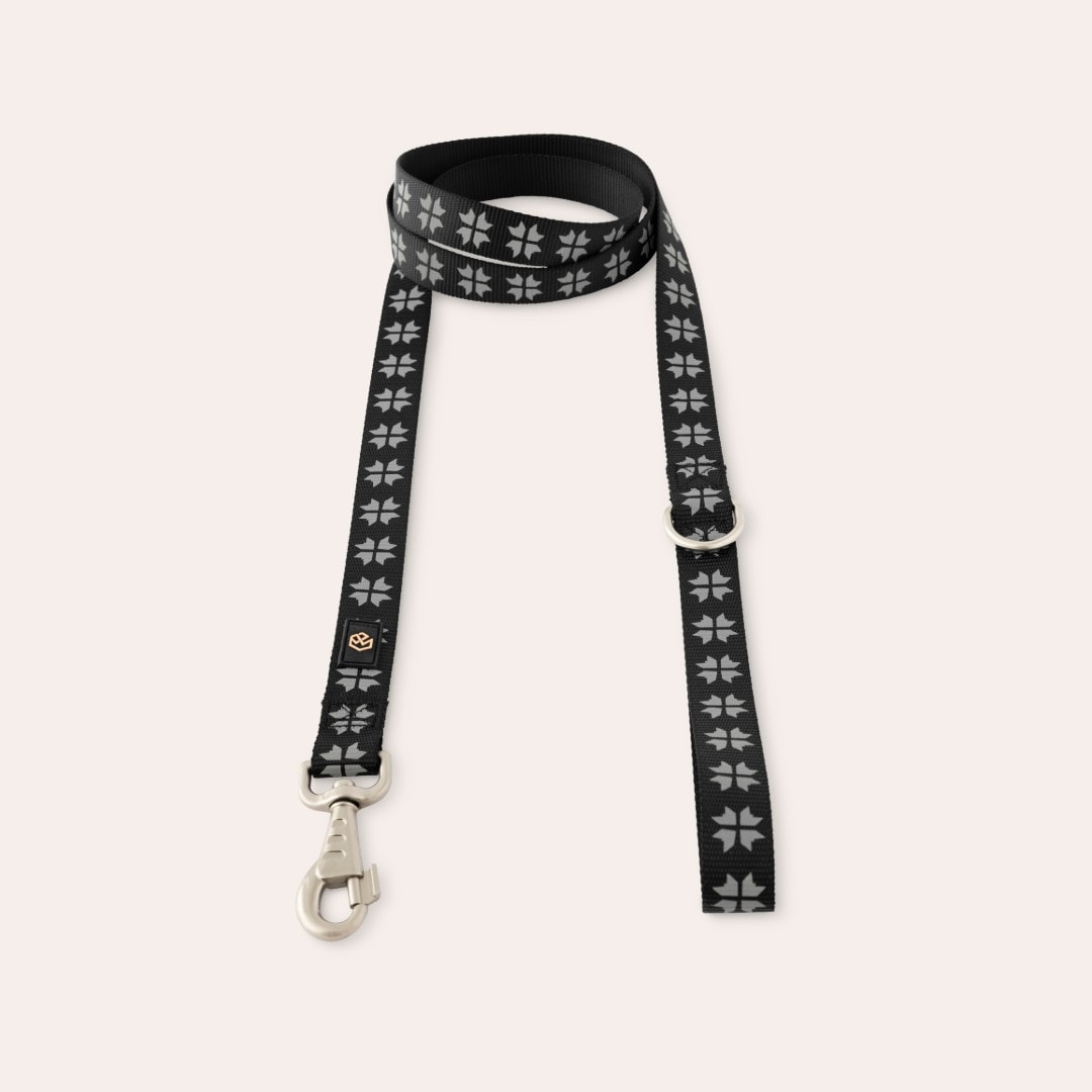 Refleksline Hunde Kelso traxx®