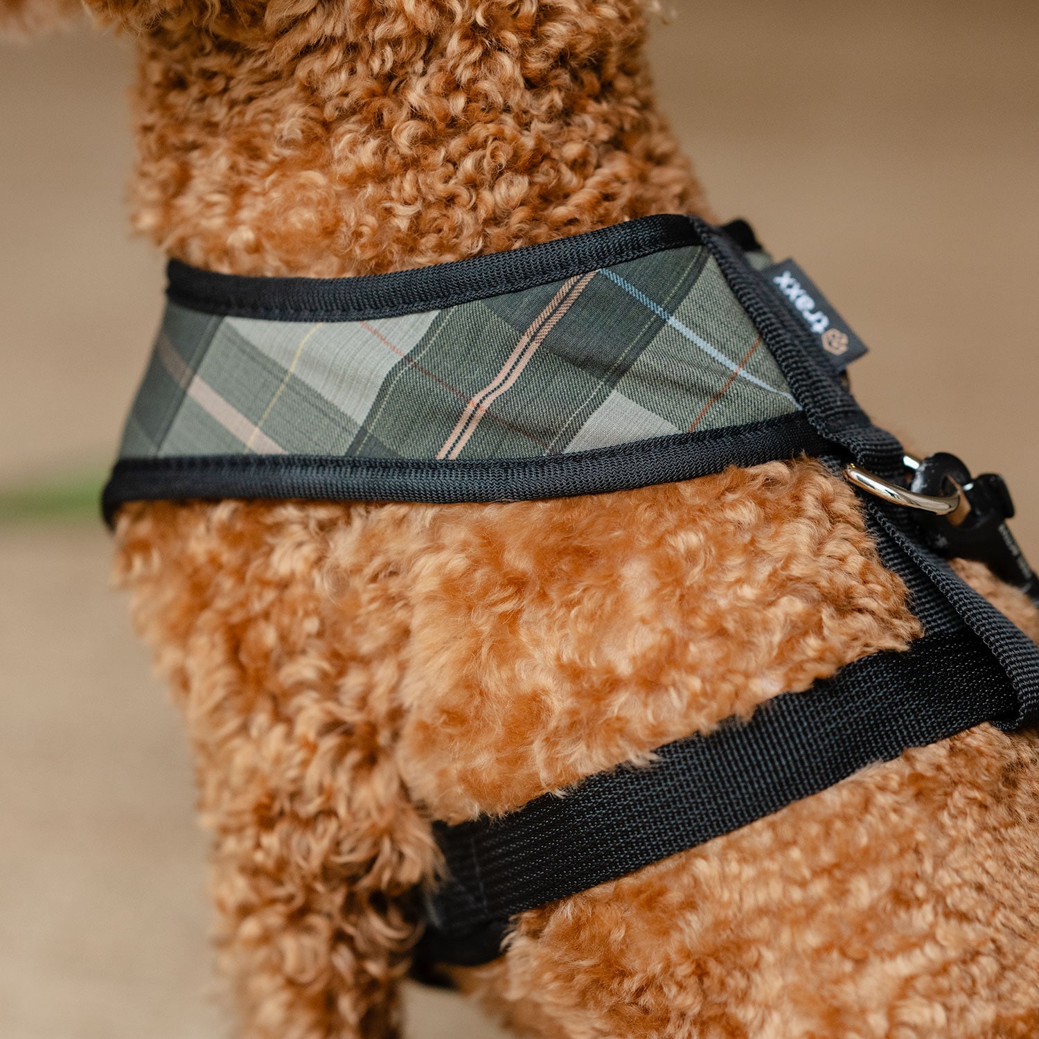 Hundesele Pardis traxx®