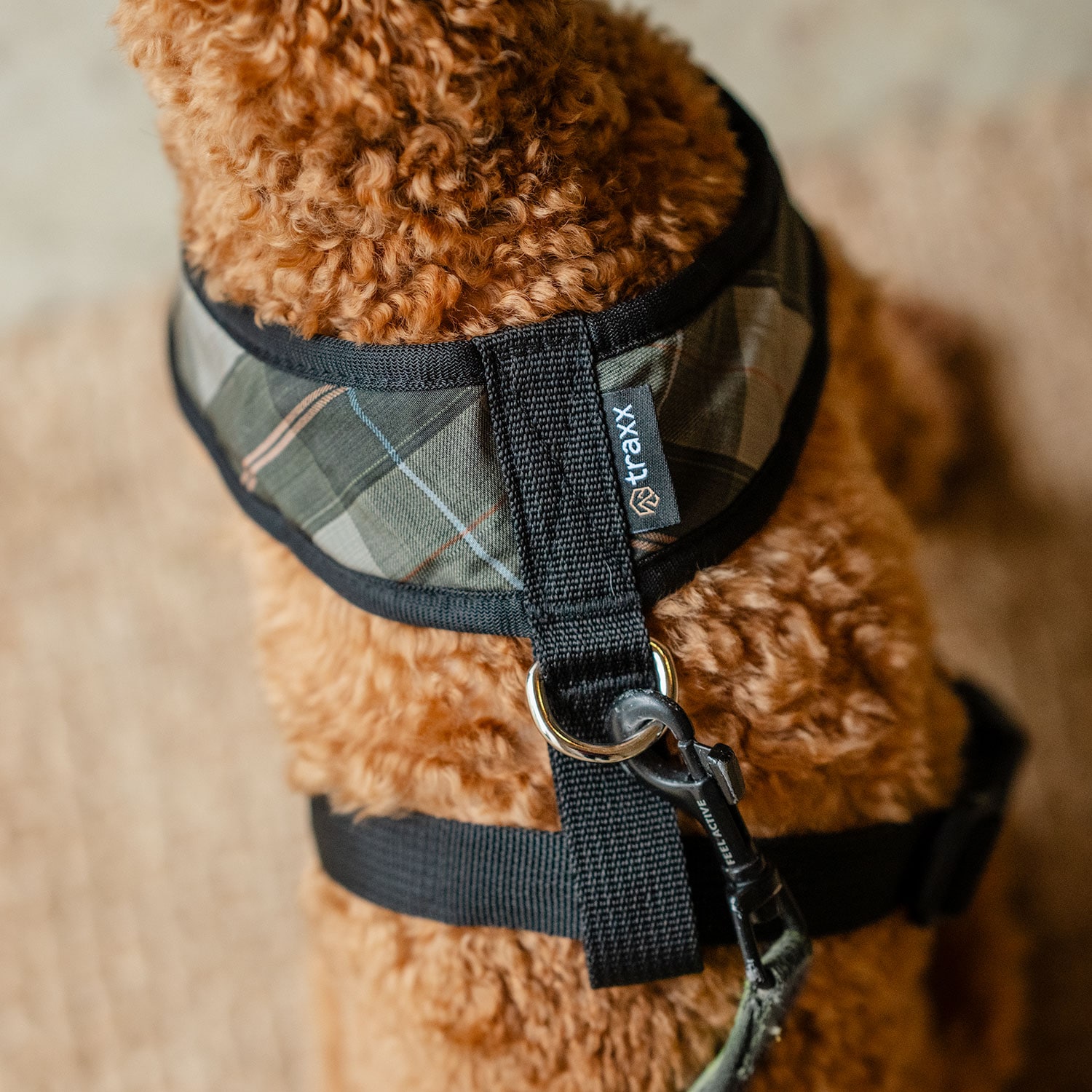 Hundesele Pardis traxx®
