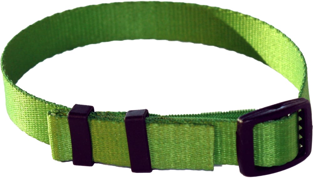 Flåthalsbånd   Petwise