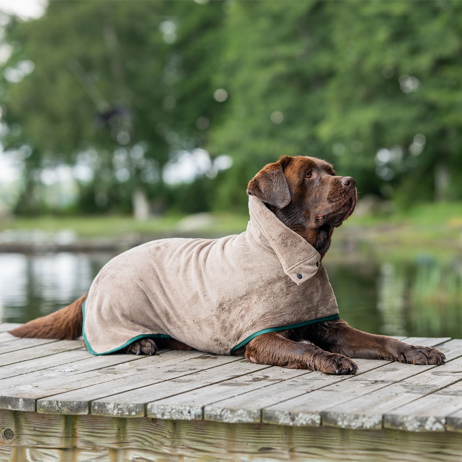 Hundebadekåbe  Ljusnan traxx®