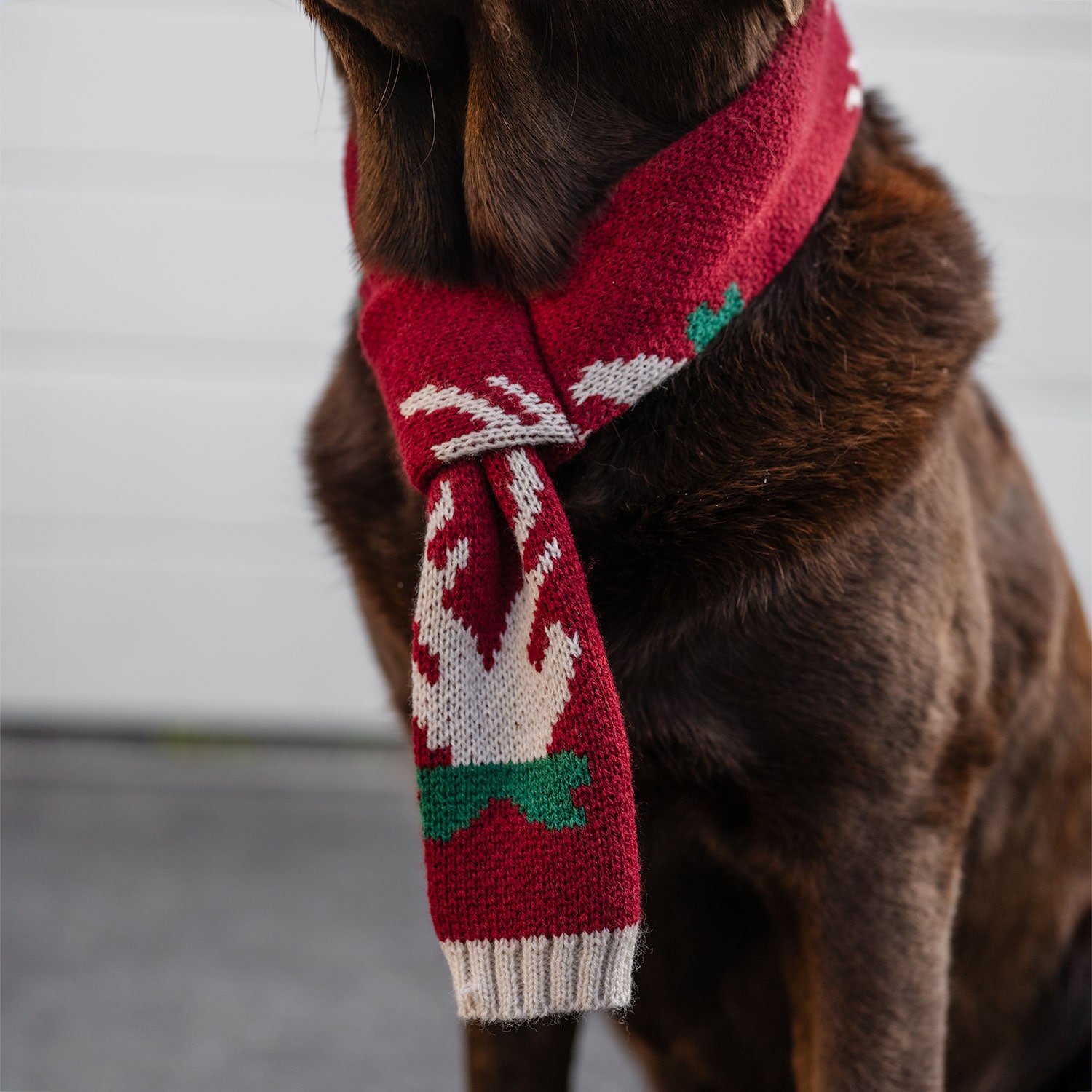 Halstørklæde Hunde Christmas traxx®