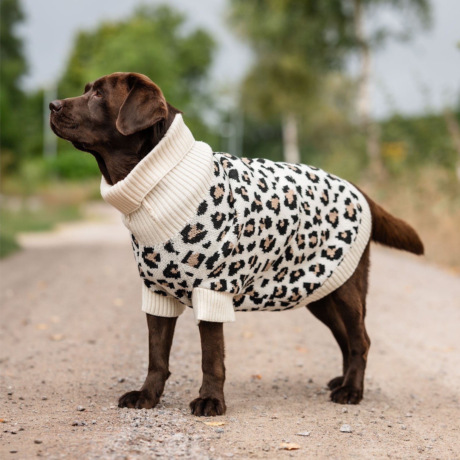 Hundesweater  Leo traxx®