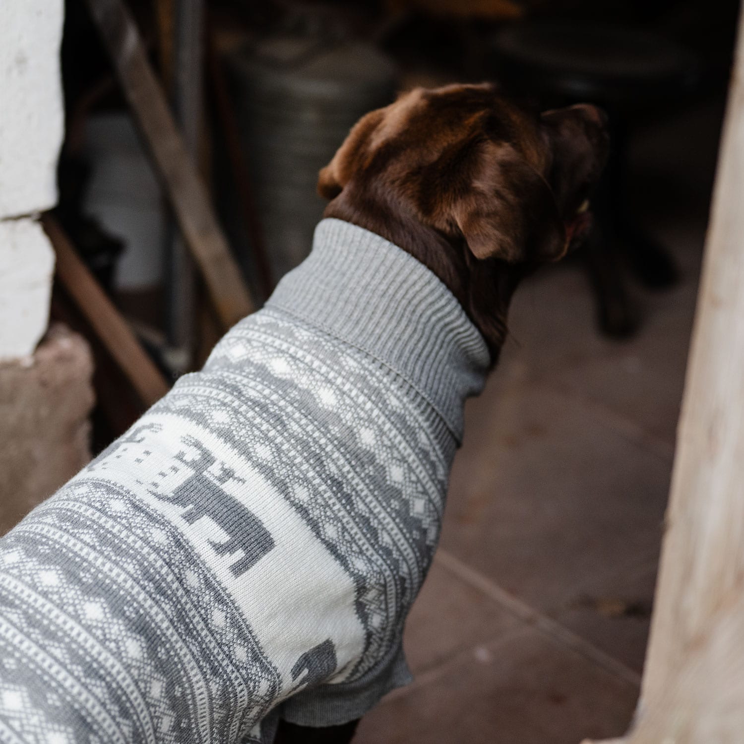 Hundesweater  Deer traxx®