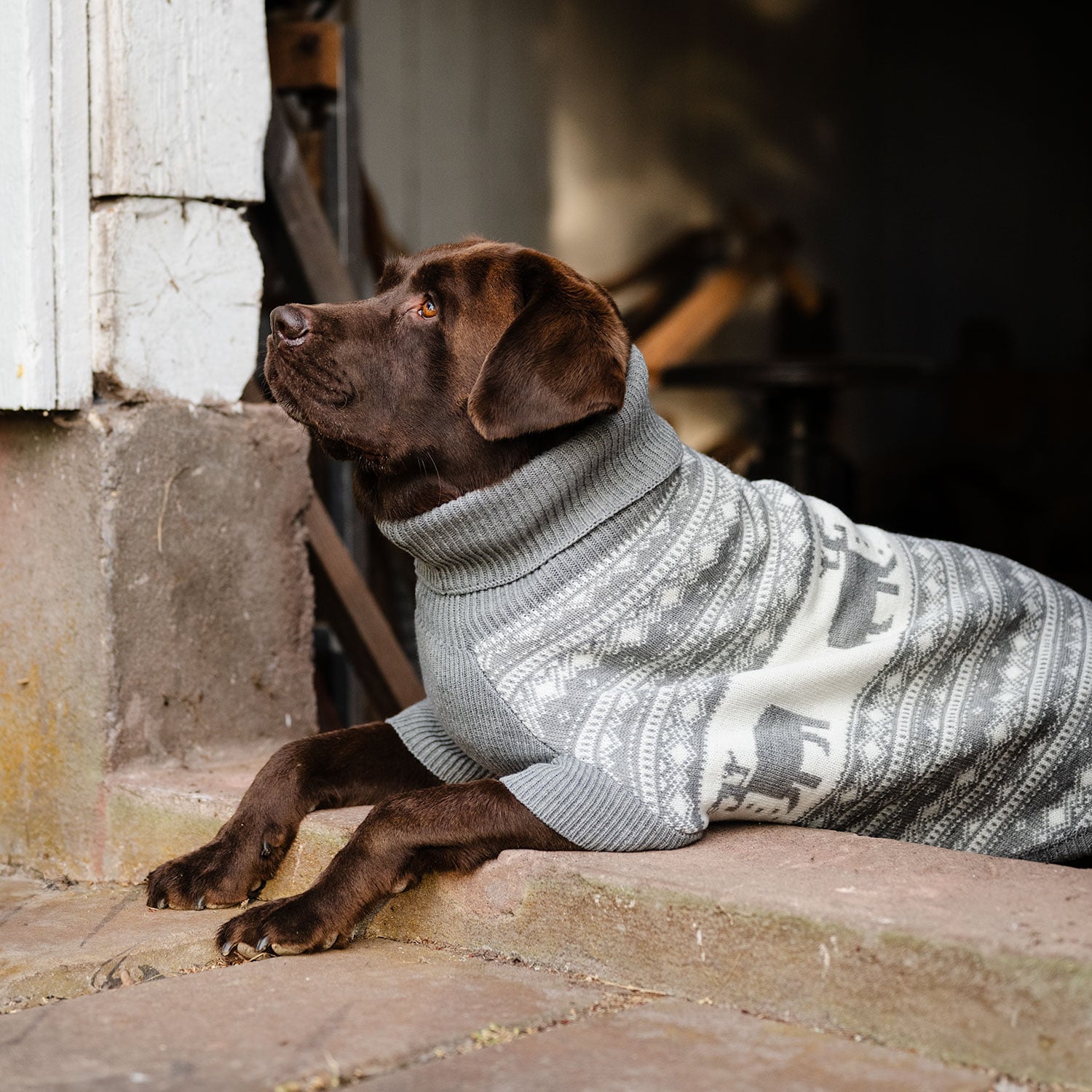 Hundesweater  Deer traxx®