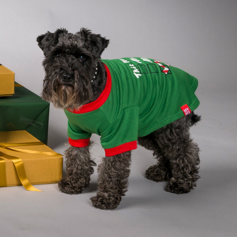 Hundesweater Merry traxx®