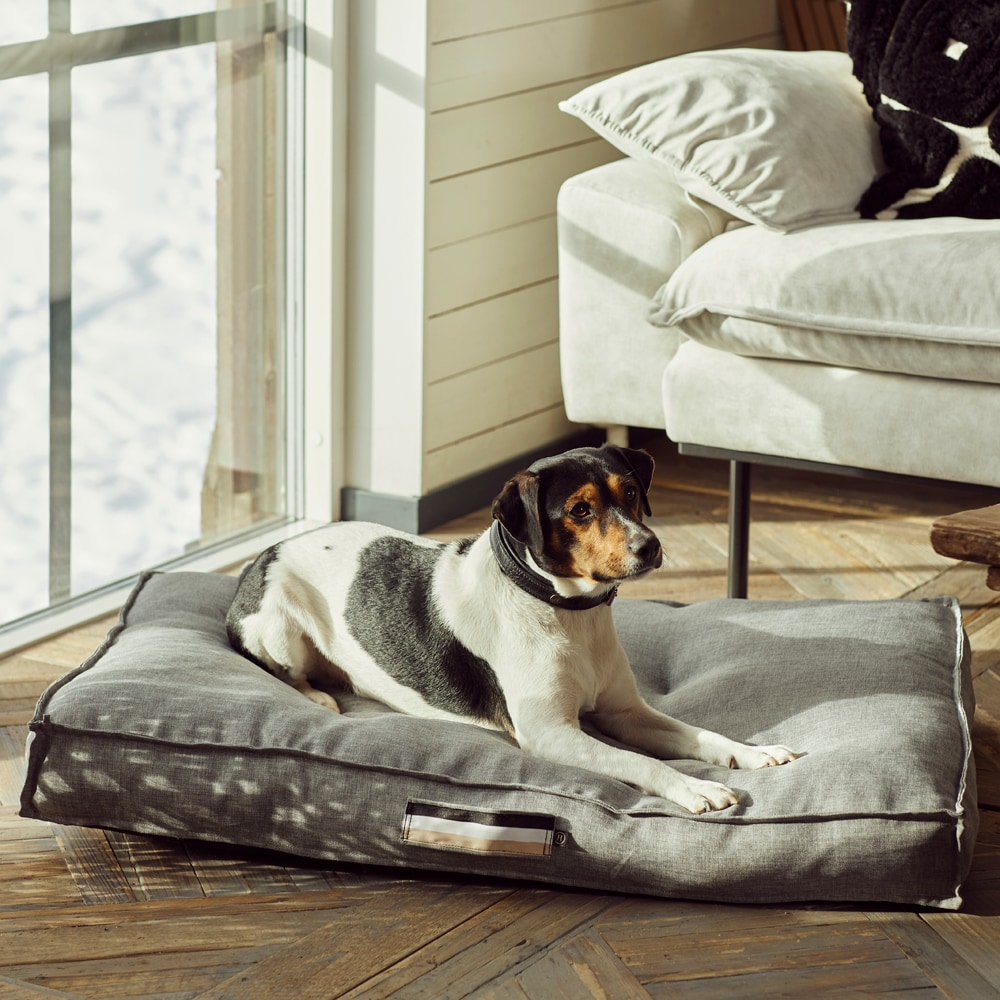 Hundeseng Luzzi JH Collection®