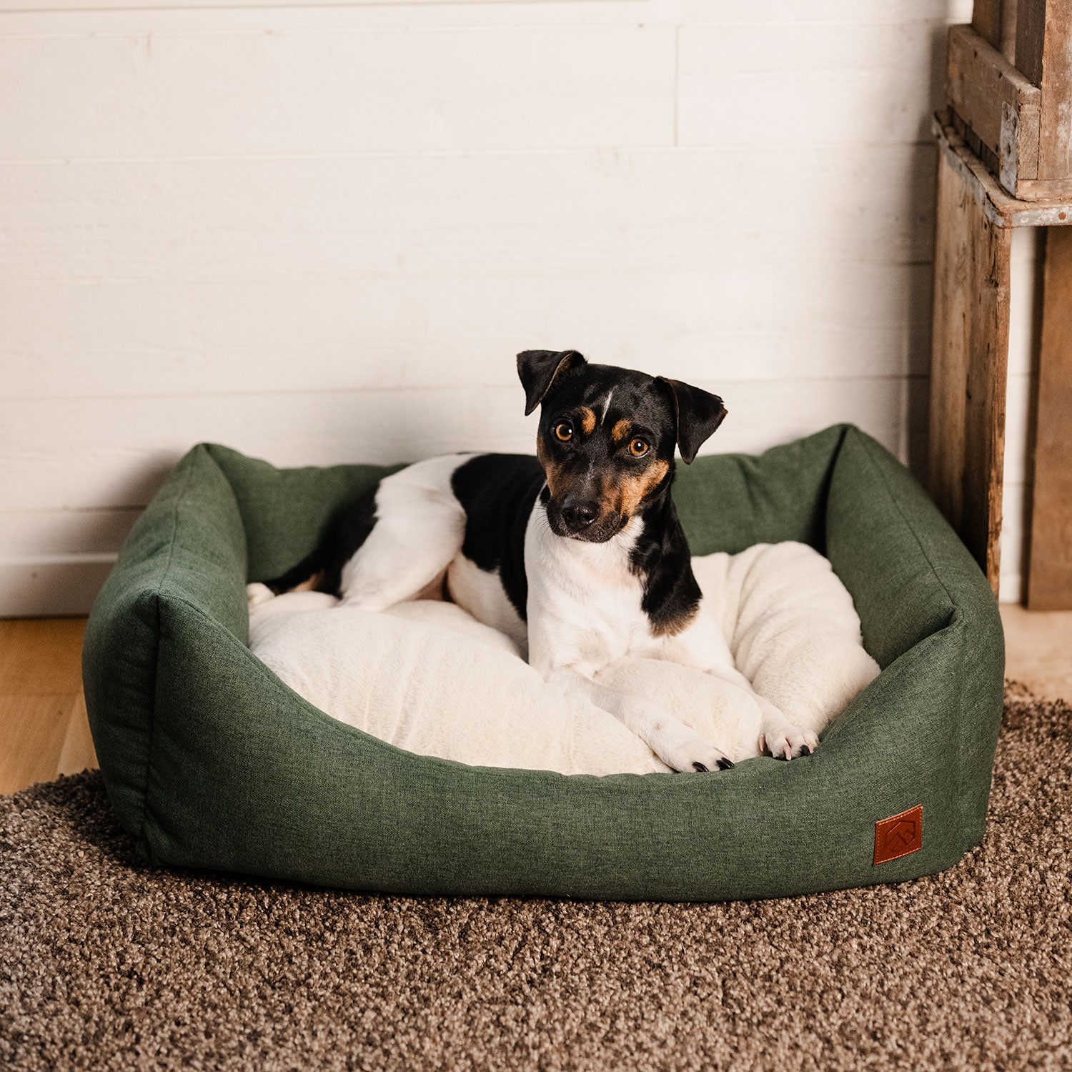 Hundeseng Ezana traxx®