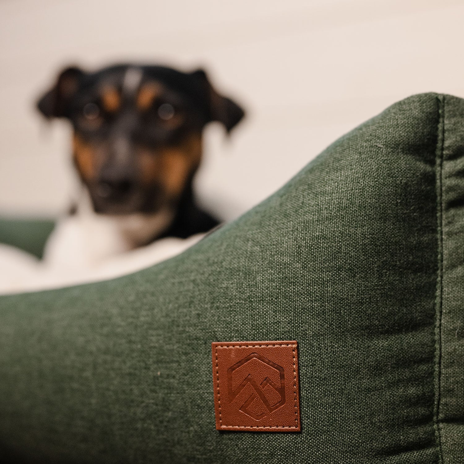 Hundeseng Ezana traxx®