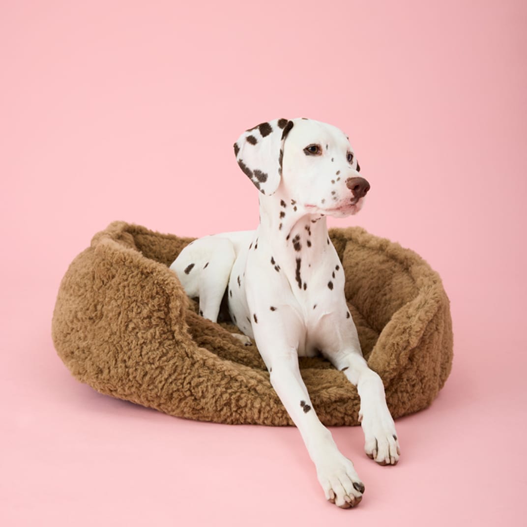 Hundeseng Furix traxx®