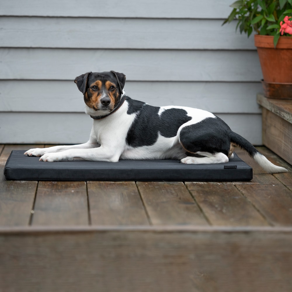 Hundemadras   traxx®