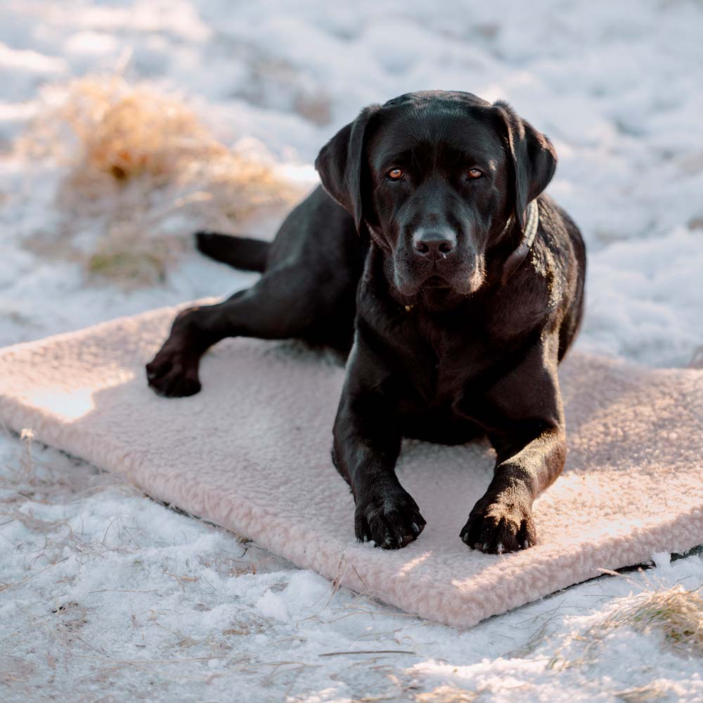 Hundemadras  Ulla traxx®