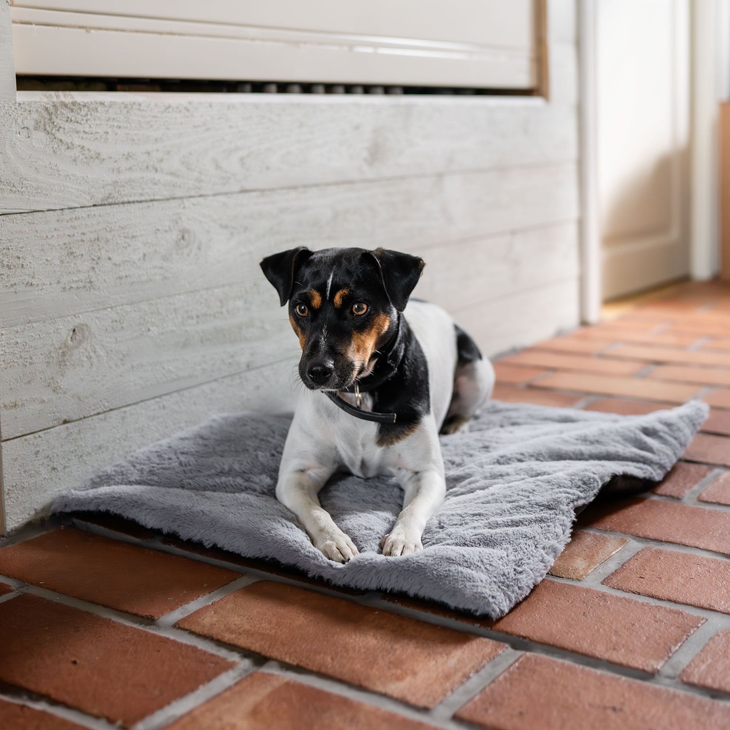 Hundemadras  Self-Warming traxx®
