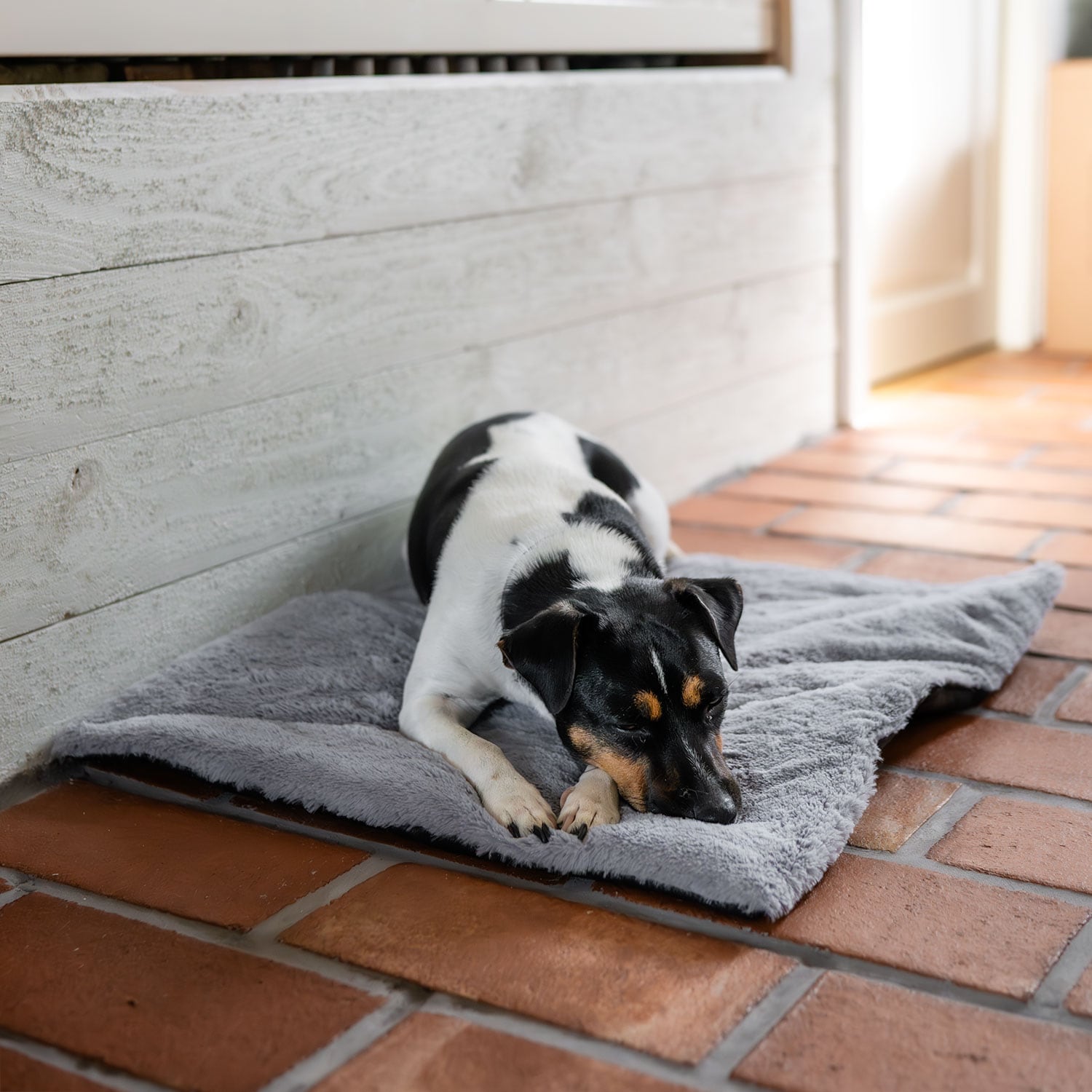 Hundemadras  Self-Warming traxx®