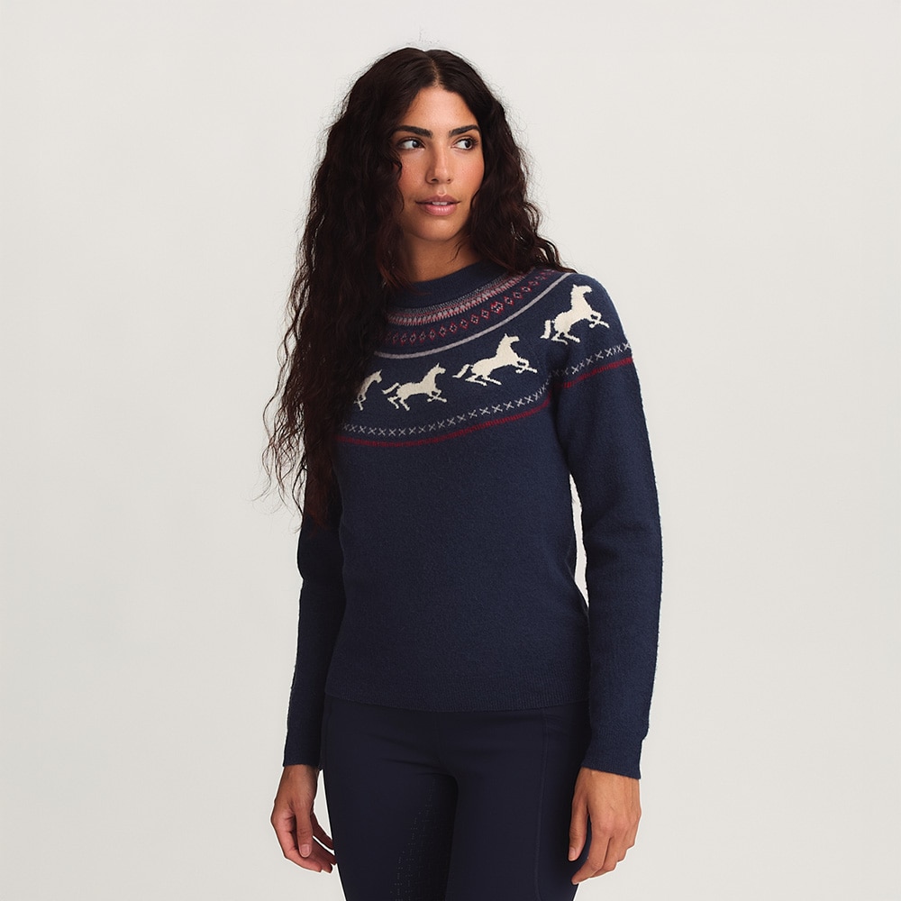 Strikket sweater  Francis CRW®