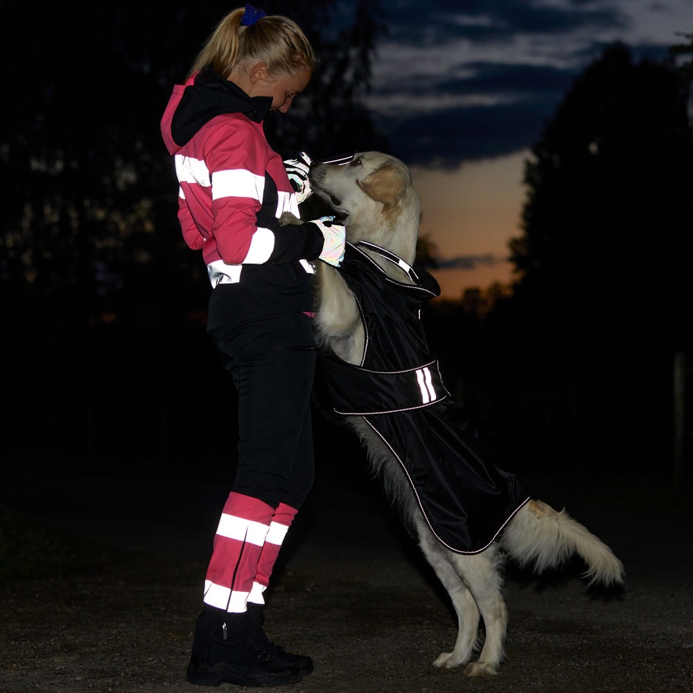 Meget sur Kredsløb løgner Buks Softshell Nimbus CRW® - Hööks