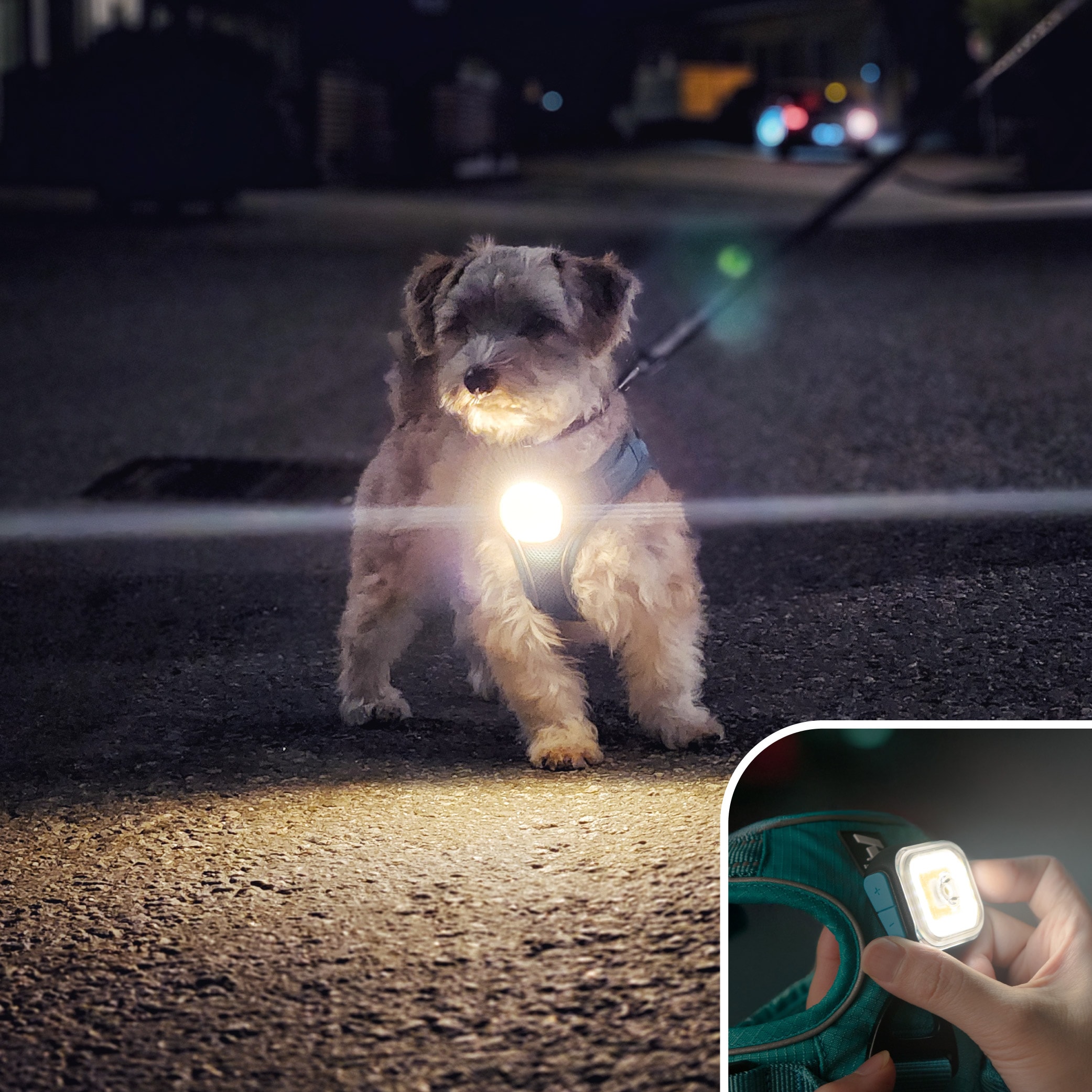 LED-lygte  Light 01 Meolinq