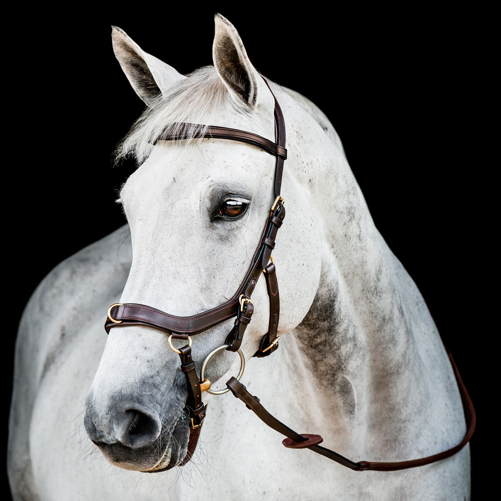 Trense  Micklem Multibridle Horseware®