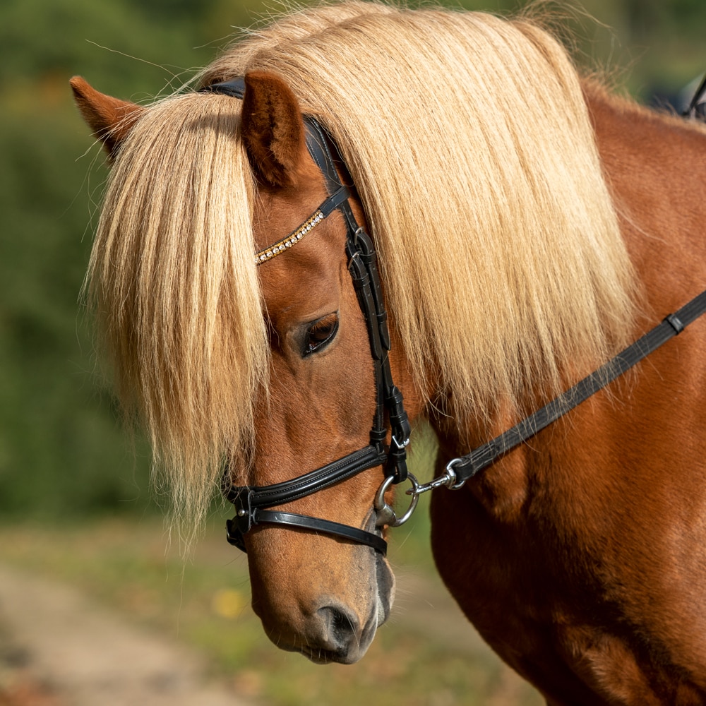 Islændertrense  Hafnir Fairfield®