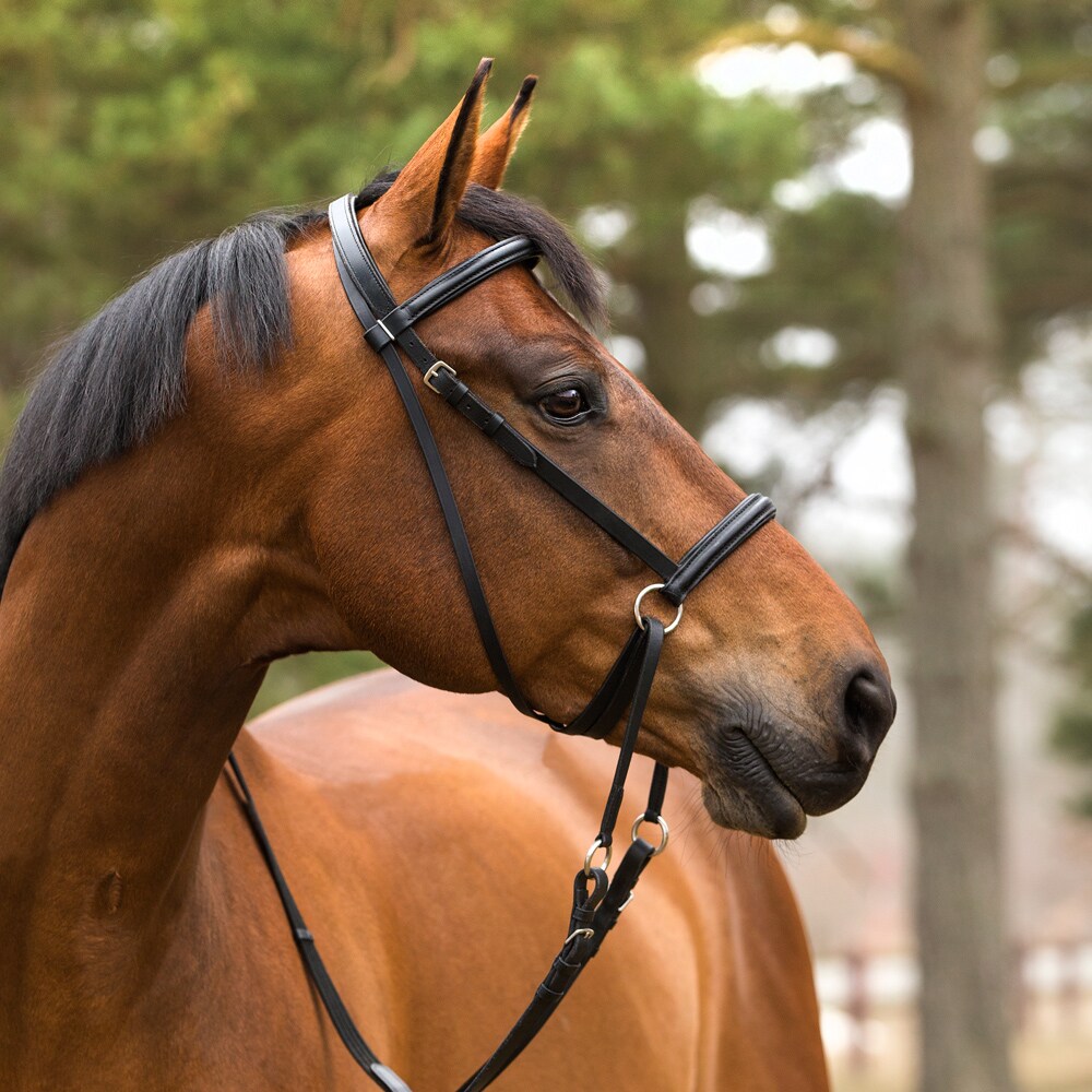 Bidløs trense Fairfield®