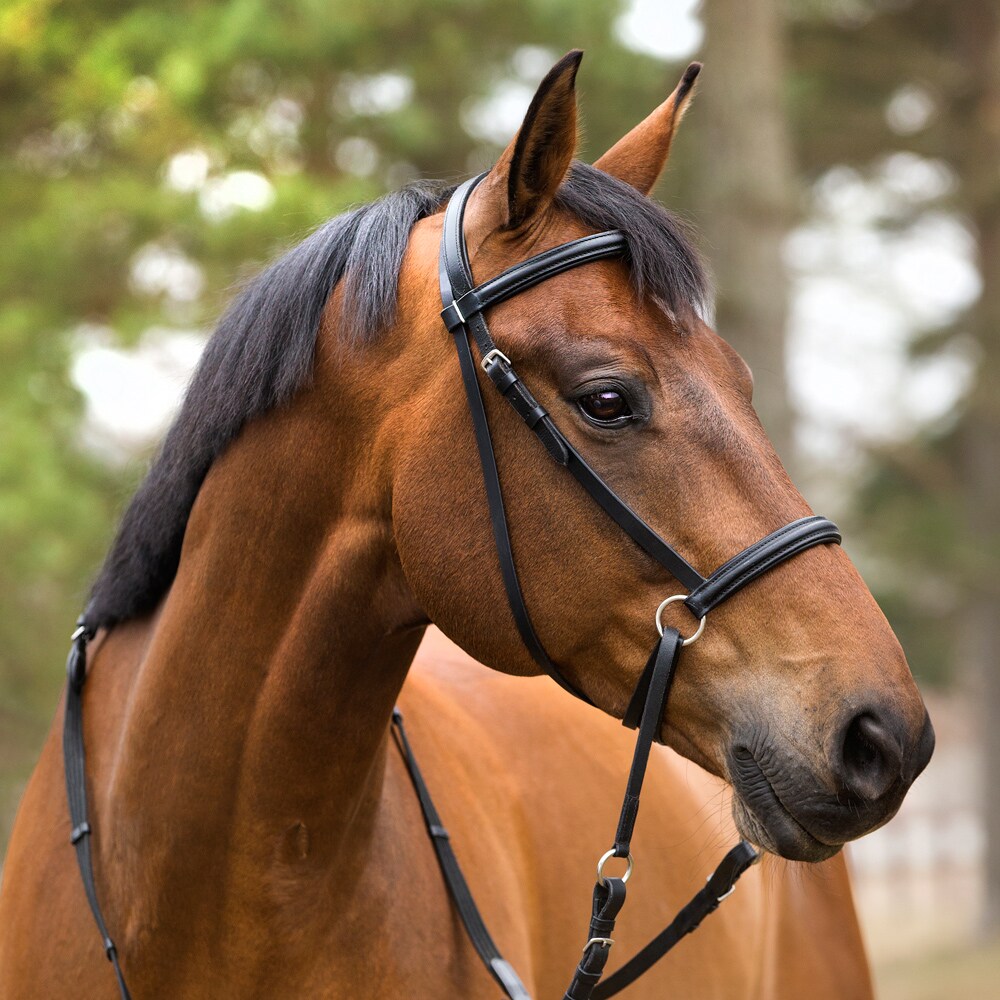 Bidløs trense Fairfield®