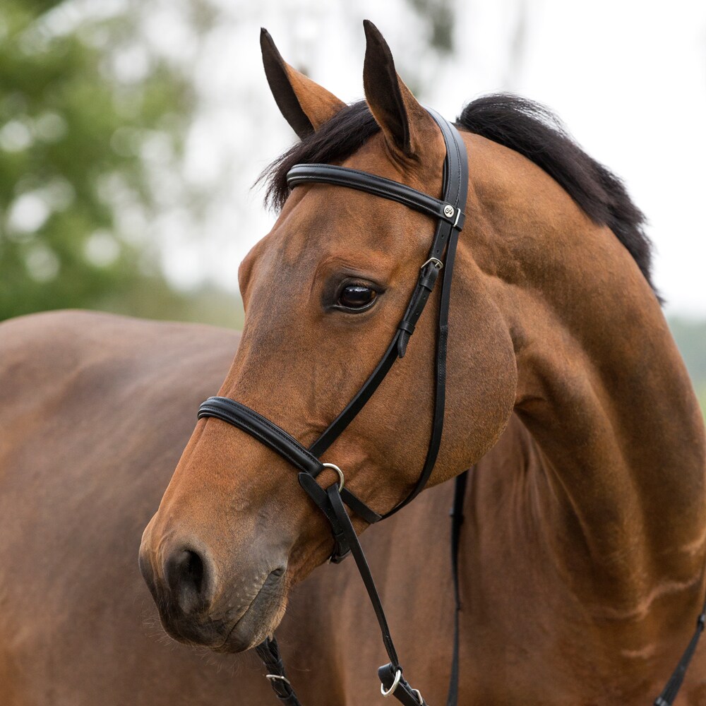 Bidløs trense Fairfield®