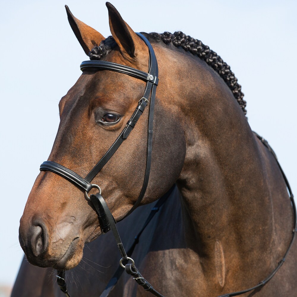 Bidløs trense Fairfield®