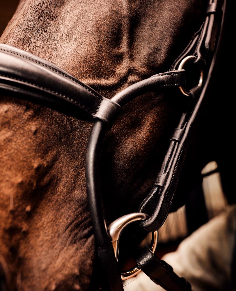 Næsebånd Carl JH Collection®