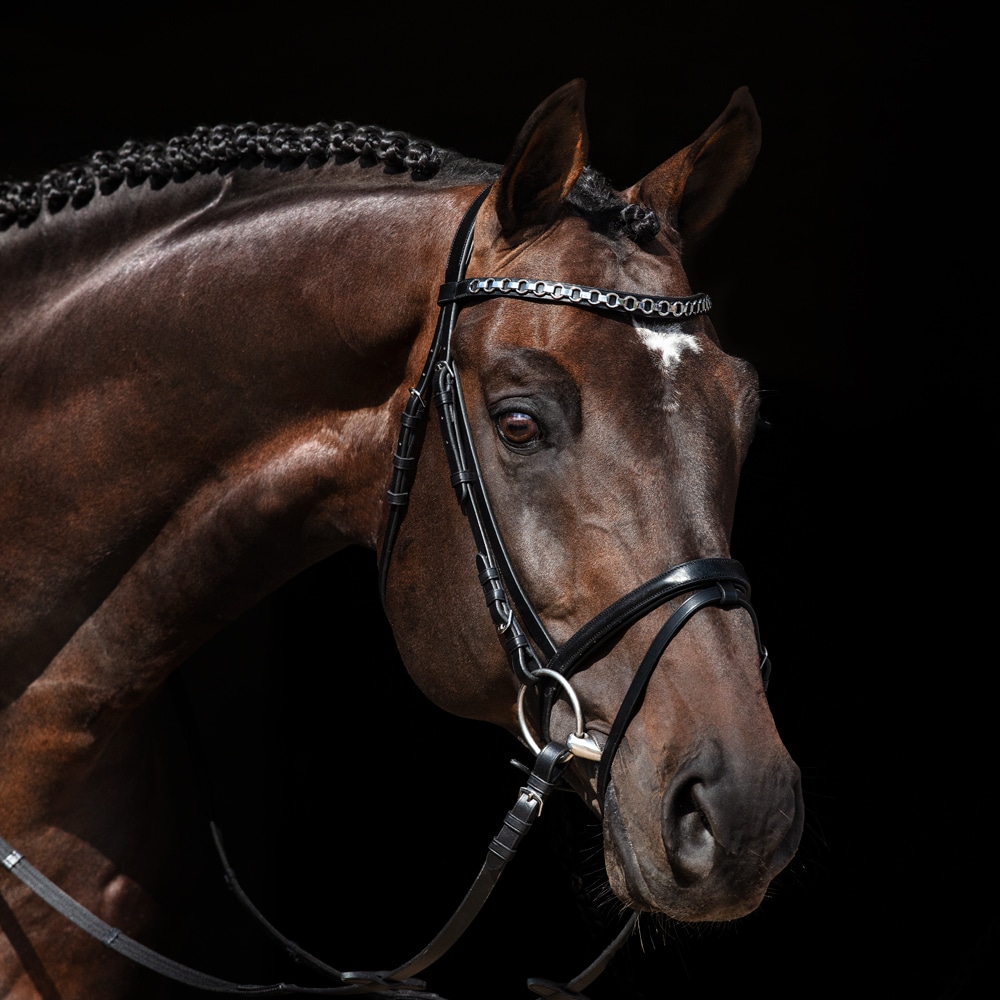 Kombineret trense Lyndon Fairfield®