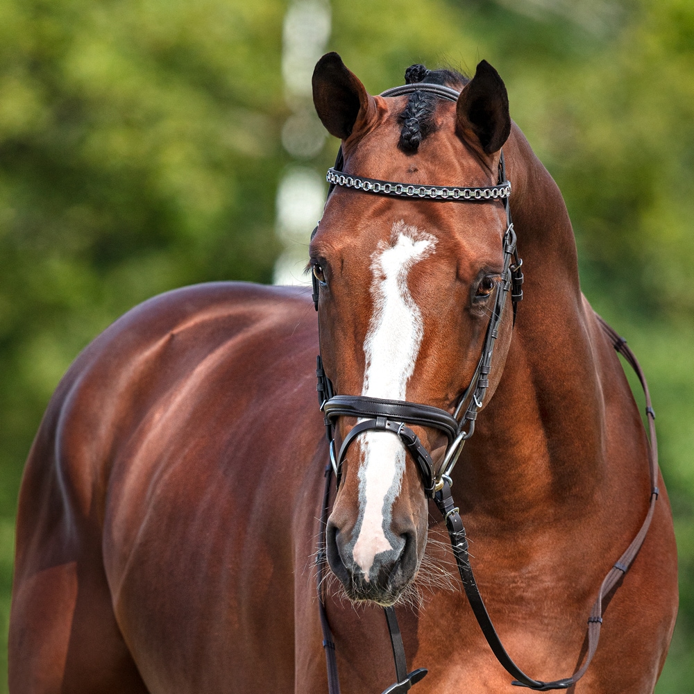 Kombineret trense Lyndon Fairfield®