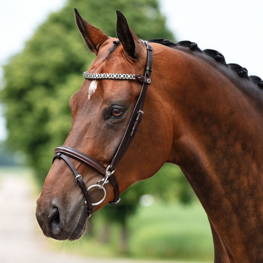 Kombineret trense  Corton Fairfield®