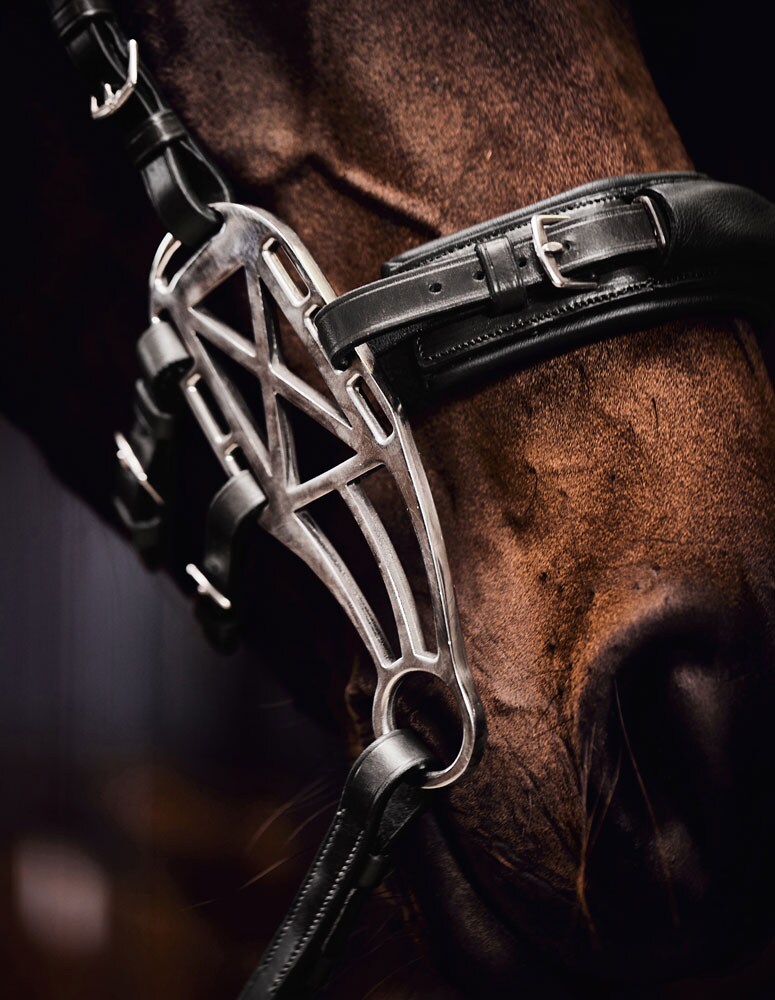 Hackamore trense   JH Collection®