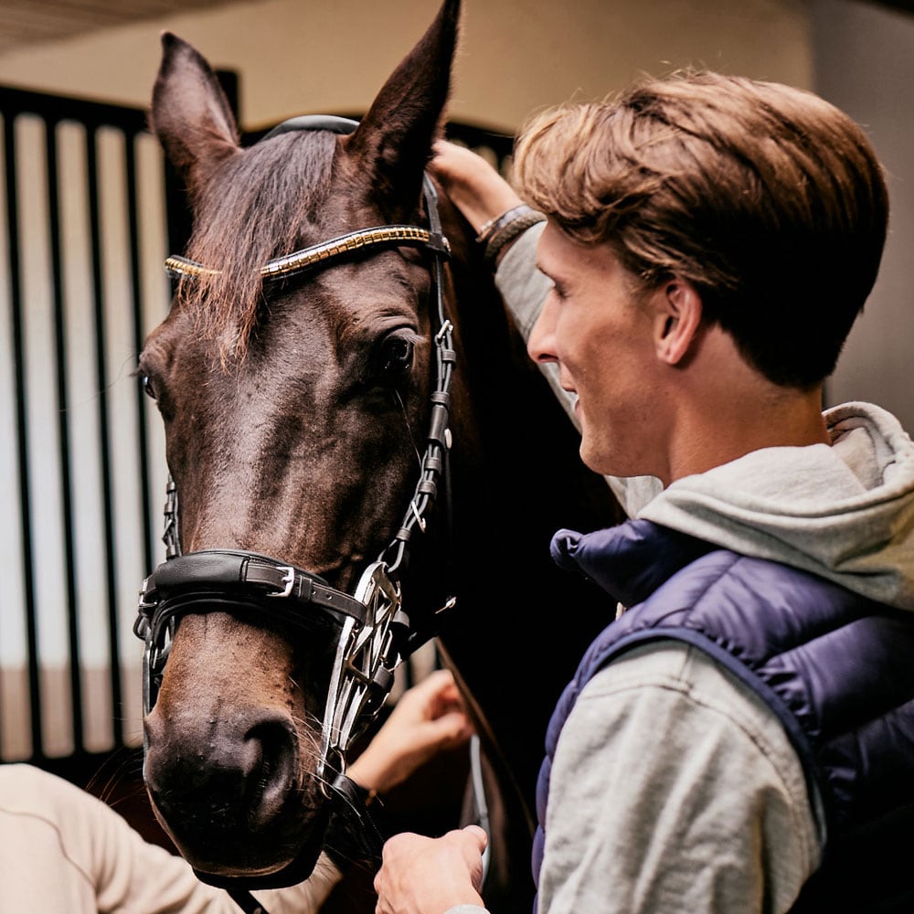 Hackamore trense   JH Collection®