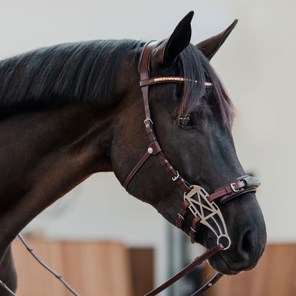 Hackamore trense  Carl JH Collection®