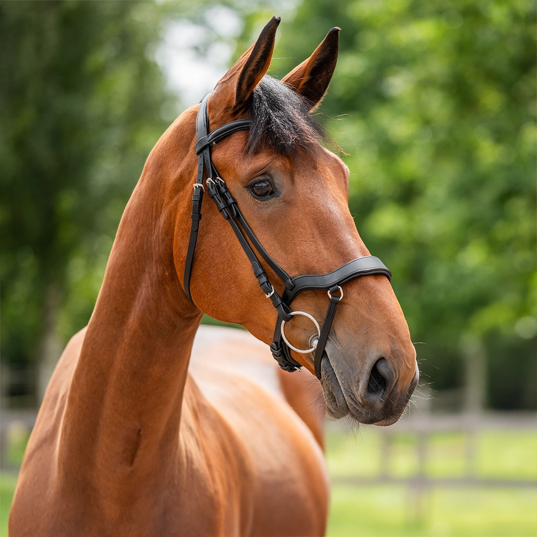 Kombineret trense Newmarket Fairfield®