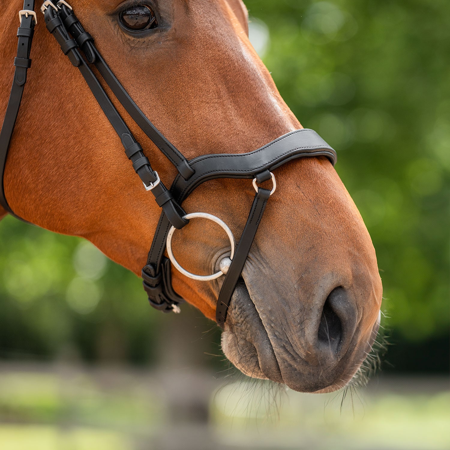 Kombineret trense Newmarket Fairfield®