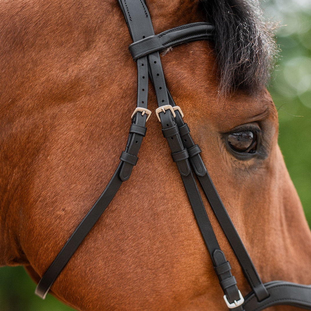 Kombineret trense Newmarket Fairfield®
