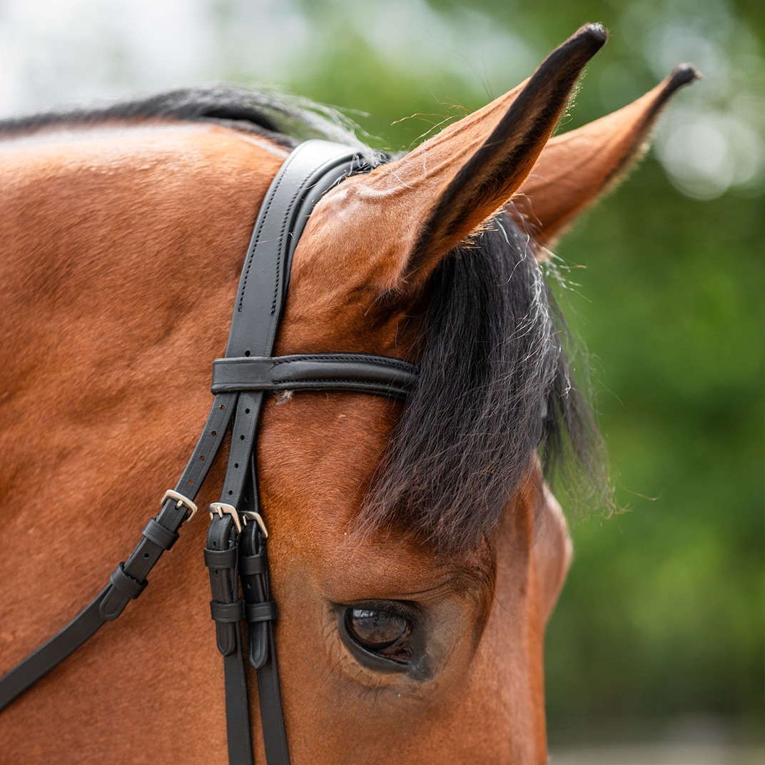Kombineret trense Newmarket Fairfield®