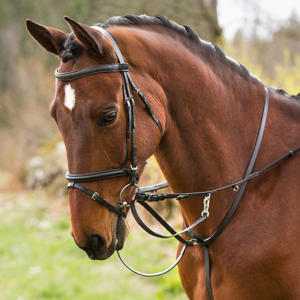 Thiedemannstøjle Pony  Fairfield®