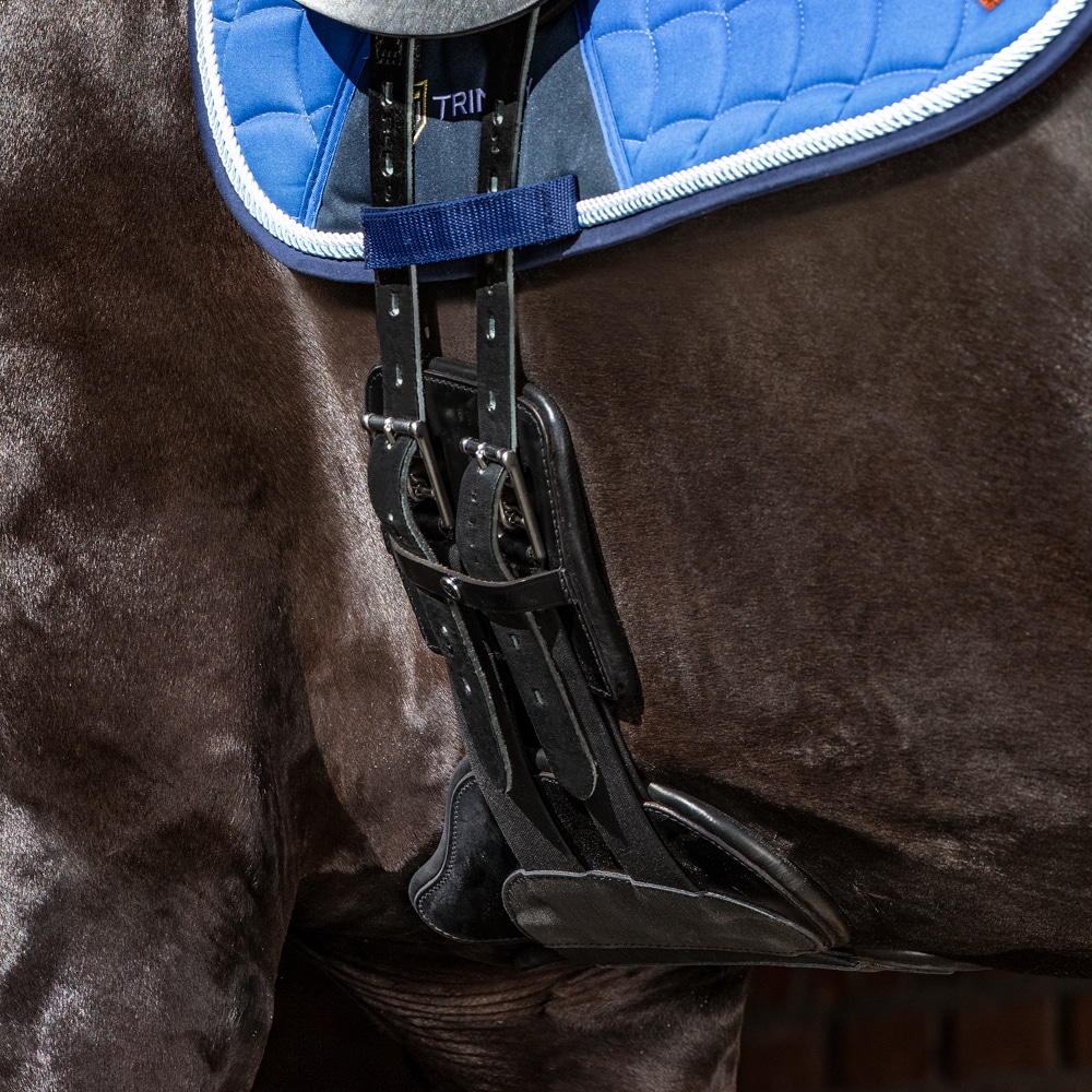 Dressurgjord Læder Brighton Fairfield®