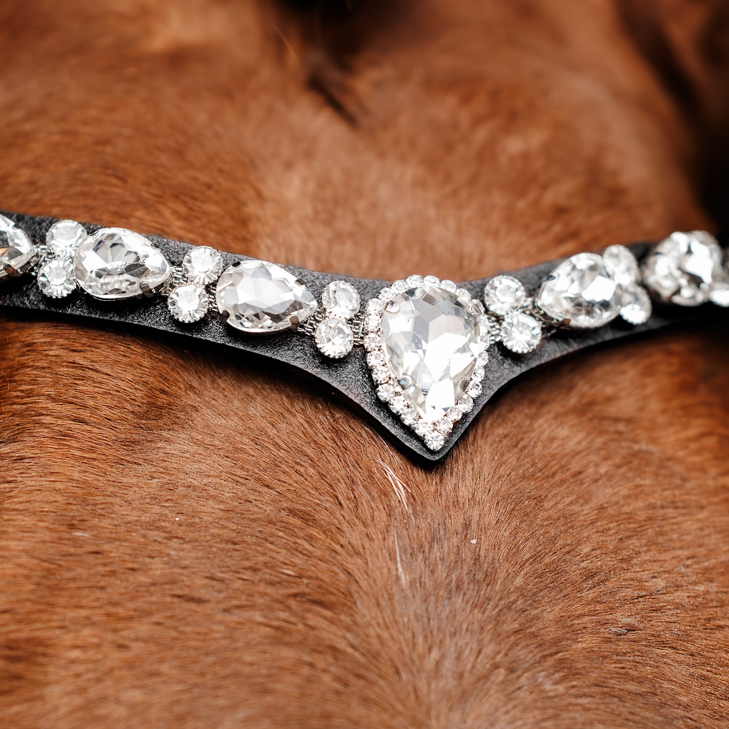 Pandebånd  Celine Fairfield®