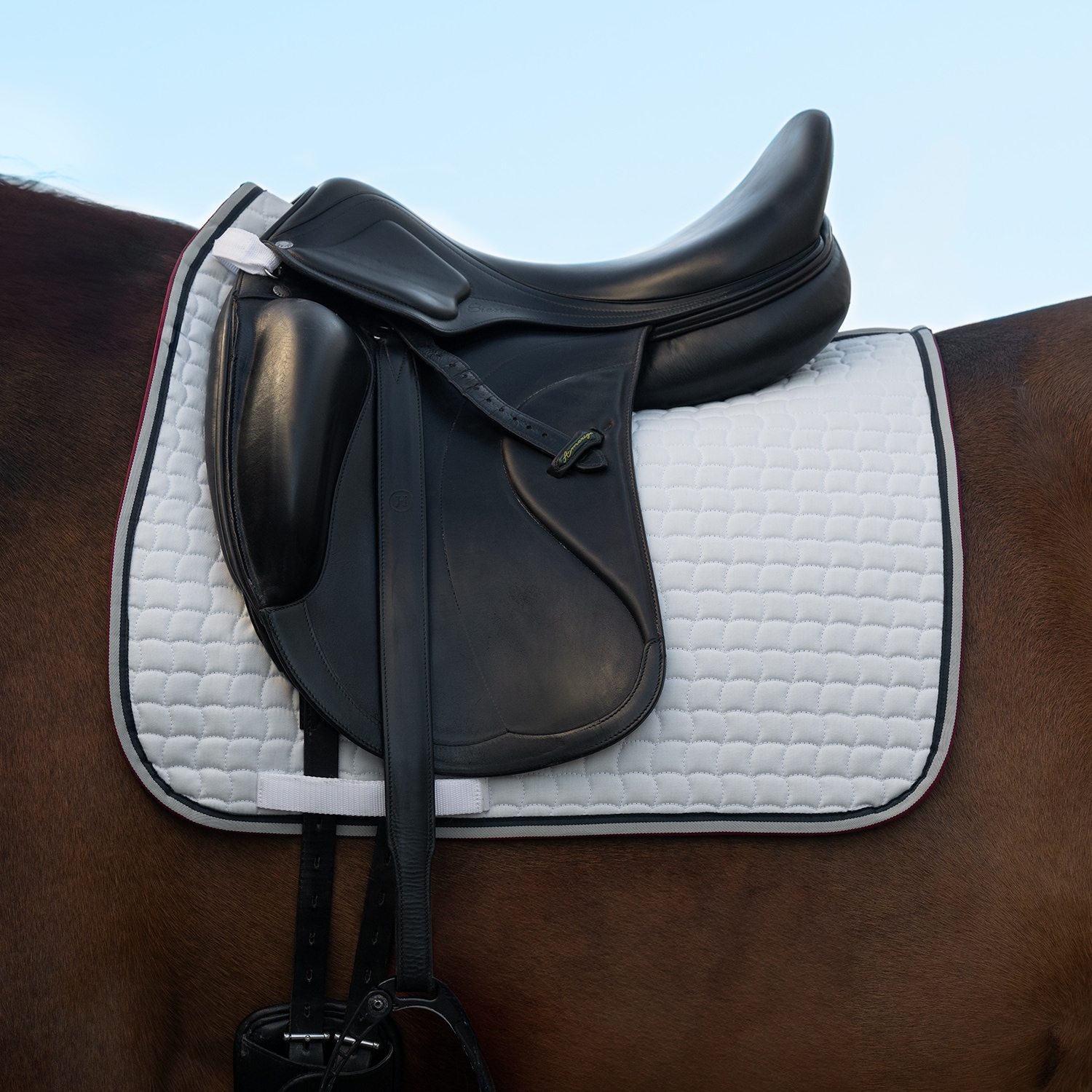 Dressurunderlag  Caspian Fairfield®