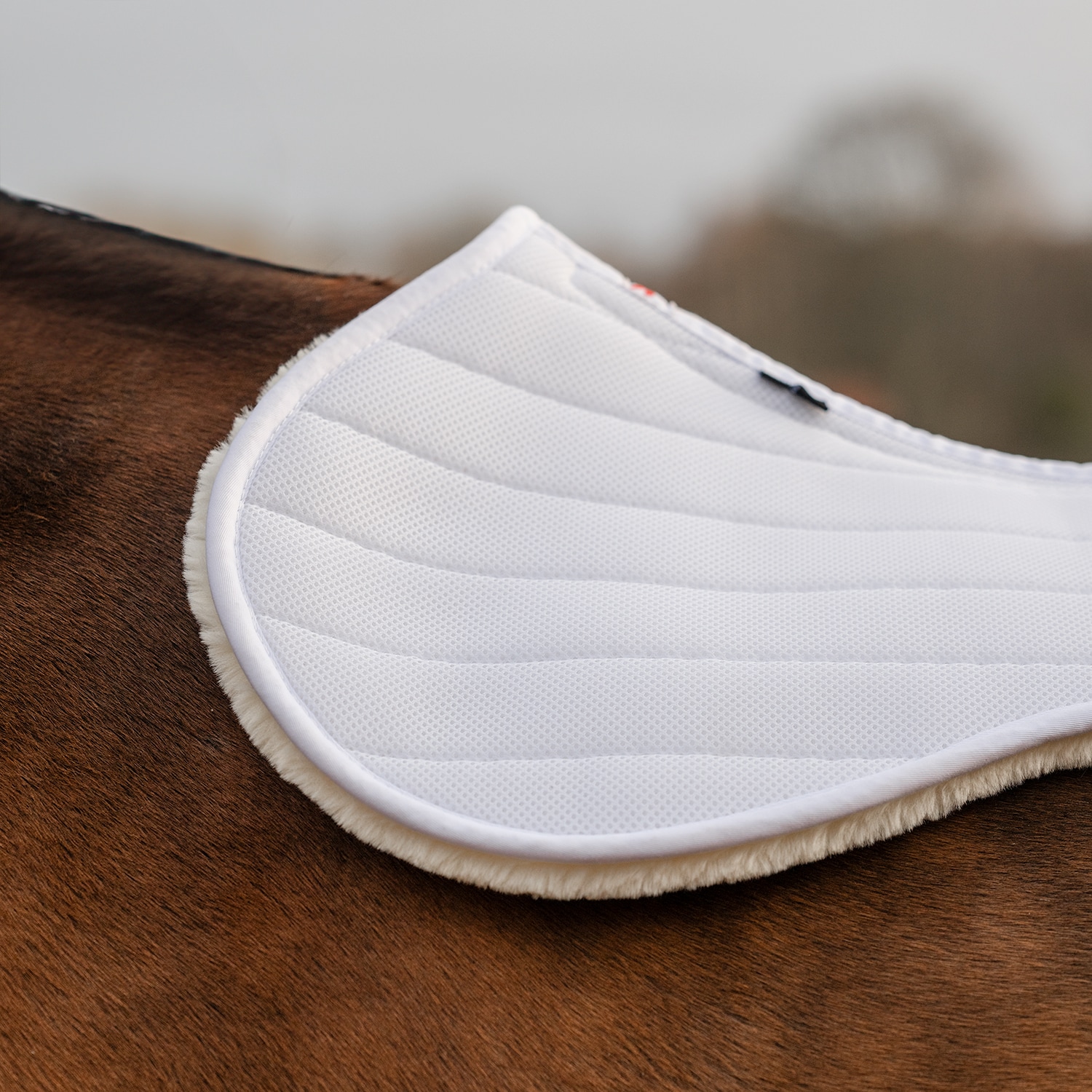 Pad 3D Air Shock EquiXpert®