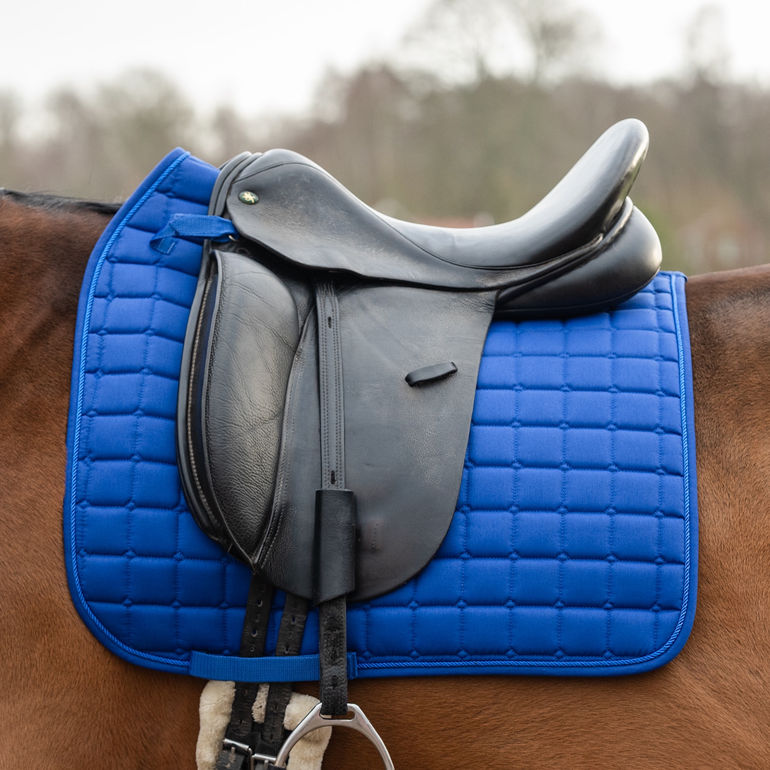 Dressurunderlag Kerry Fairfield®