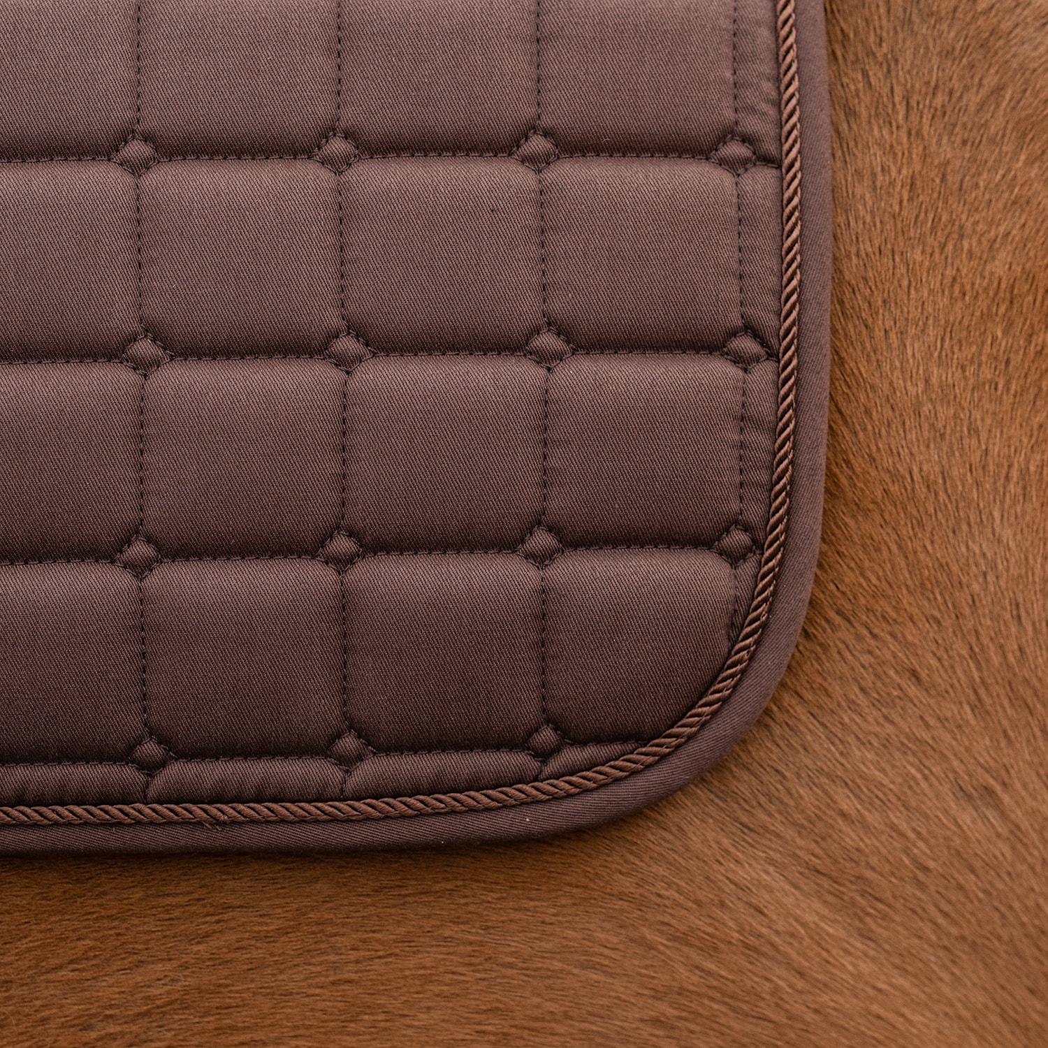 Dressurunderlag Kerry Fairfield®