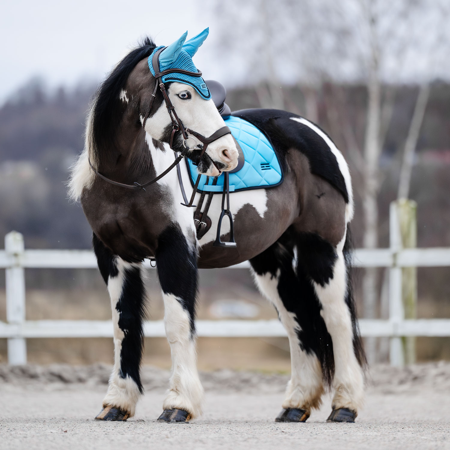 Dressurunderlag Miami Fairfield®