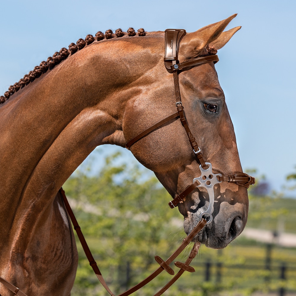 Sidestykker Hackamore  Fairfield®